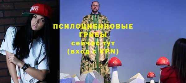 дурь Осинники
