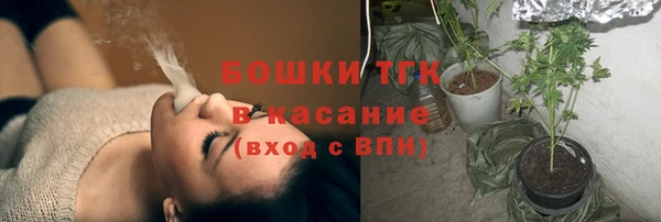 дурь Осинники