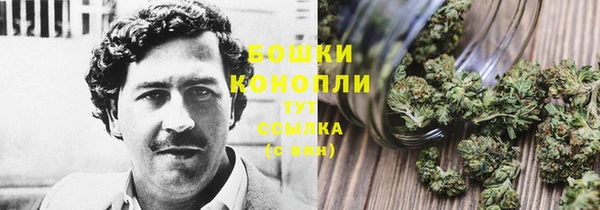 дурь Осташков