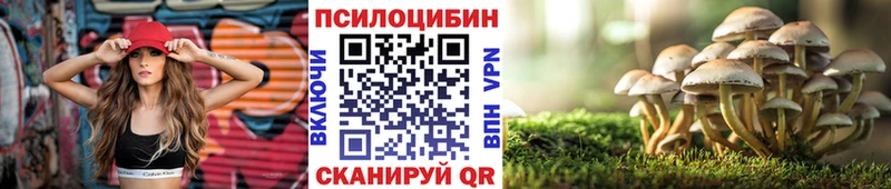 купить наркотик  Иноземцево  Галлюциногенные грибы мухоморы 